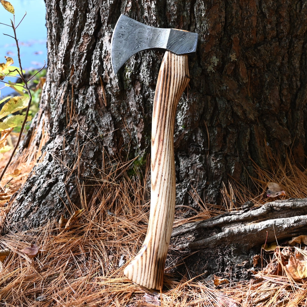 Axes leaning against a tree with a natural outdoor setting